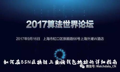 如何在BSN区块链上查询钱包地址的详细指南