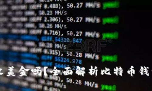 比特币钱包能收美金吗?全面解析比特币钱包与法币的关系