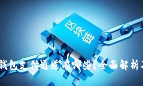 USDT钱包支付通道有哪些?全面解析及推荐