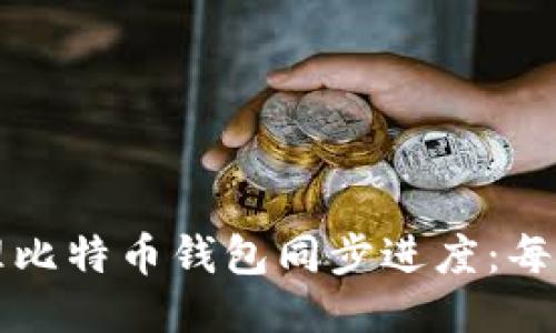 如何高效管理比特币钱包同步进度:每小时更新指南