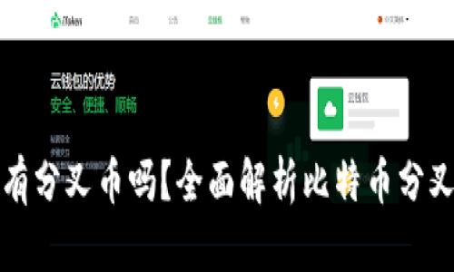 比特币钱包里有分叉币吗?全面解析比特币分叉及其钱包策略