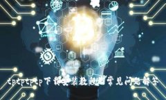 tptptptp下载安装教程及常见