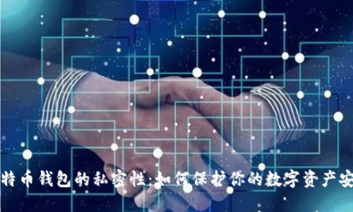 比特币钱包的私密性:如何保护你的数字资产安全