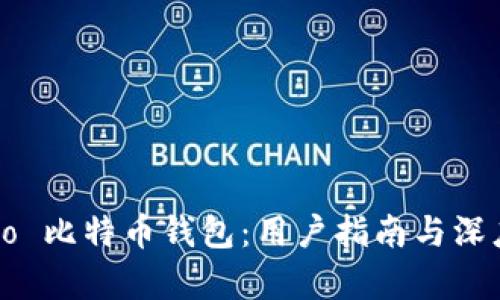 hoofoo 比特币钱包:用户指南与深度分析
