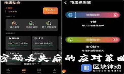 比特币钱包密码丢失后的应对策略与解决方法