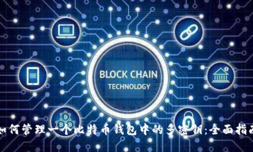 如何管理一个比特币钱包中的多密钥：全面指南