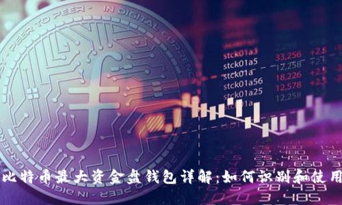 比特币最大资金盘钱包详解:如何识别和使用