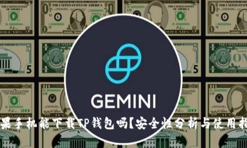 苹果手机能下载TP钱包吗?安全性分析与使用指南