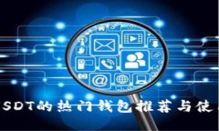 支持USDT的热门钱包推荐与