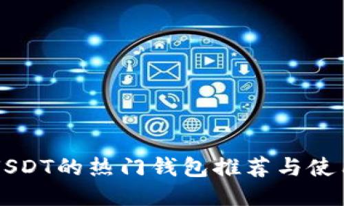 支持USDT的热门钱包推荐与使用指南