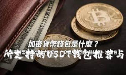 常见交易所支持的USDT钱包推荐与使用指南