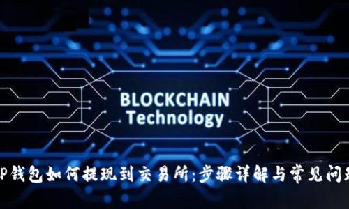 TP钱包如何提现到交易所:步骤详解与常见问题