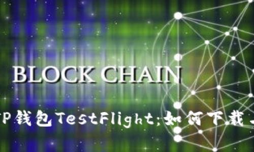 深入了解TP钱包TestFlight:如何下载与使用指南