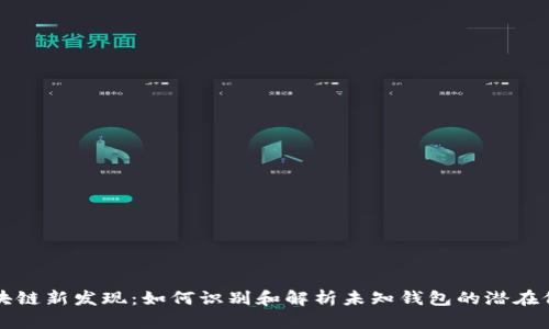 区块链新发现:如何识别和解析未知钱包的潜在价值