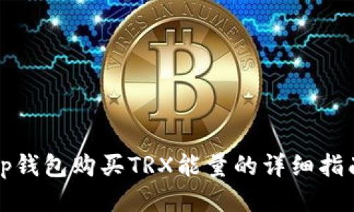 tp钱包购买TRX能量的详细指南