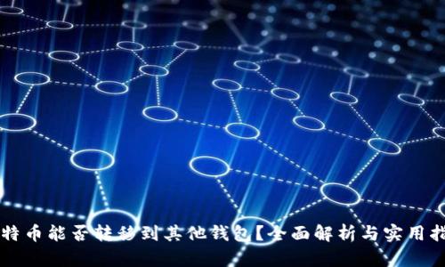 比特币能否转移到其他钱包?全面解析与实用指南