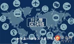 如何在iOS设备上下载TP钱包