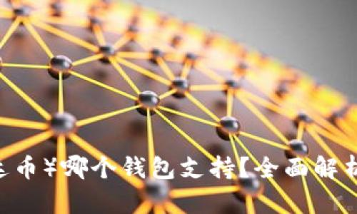 USDT(泰达币)哪个钱包支持?全面解析推荐钱包