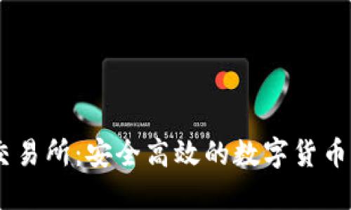 TZCoin交易所:安全高效的数字货币交易平台