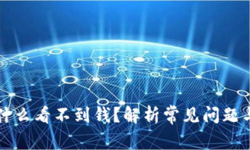 TP钱包为什么看不到钱?解析常见问题与解决方法