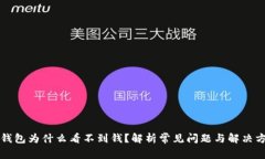 TP钱包为什么看不到钱？解
