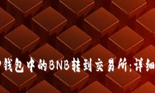 如何将TP钱包中的BNB转到交易所:详细操作指南