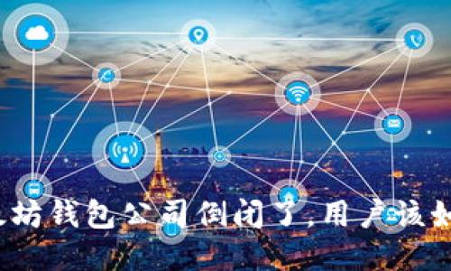 如果以太坊钱包公司倒闭了，用户该如何应对？