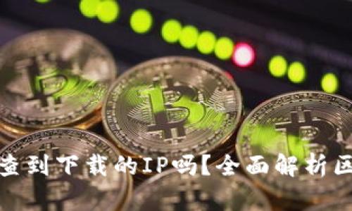 : 区块链钱包能查到下载的IP吗?全面解析区块链安全与隐私