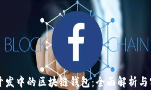 区块链开发中的区块链钱包:全面解析与实现指南