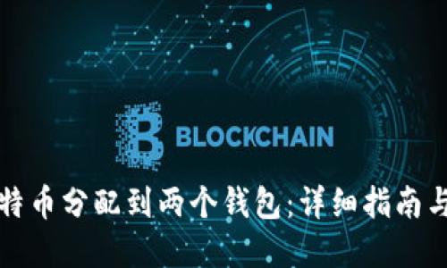 如何将比特币分配到两个钱包:详细指南与最佳实践
