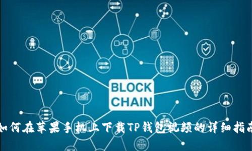 如何在苹果手机上下载TP钱包视频的详细指南