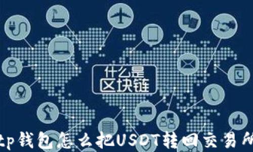 tp钱包怎么把USDT转回交易所
