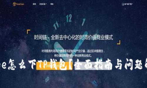 bage怎么下TP钱包?全面指南与问题解答