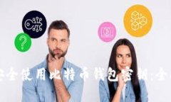 如何安全使用比特币钱包