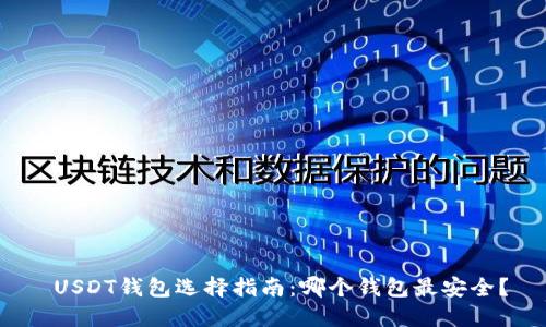 USDT钱包选择指南:哪个钱包最安全?