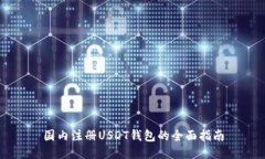 国内注册USDT钱包的全面指