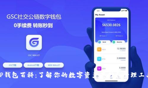 TP钱包百科:了解你的数字资产存储和管理工具