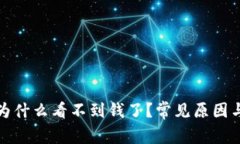 : TP钱包为什么看不到钱了
