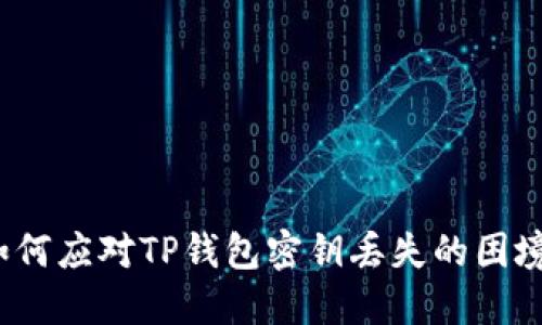 如何应对TP钱包密钥丢失的困境?