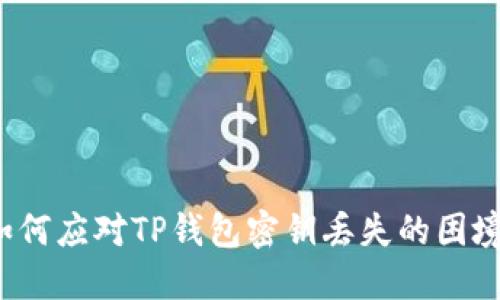 如何应对TP钱包密钥丢失的困境?
