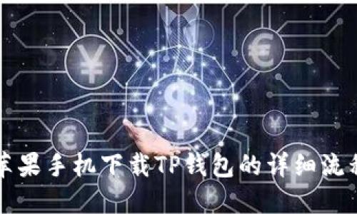 苹果手机下载TP钱包的详细流程