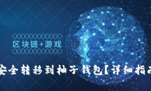 比特币如何安全转移到柚子钱包?详细指南及注意事项