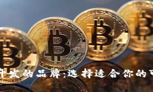 区块链钱包开发的品牌：选择适合你的可靠解决方案