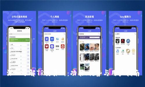 深入了解TR交易所:功能、优势与用户指南