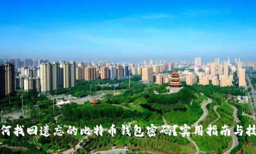 如何找回遗忘的比特币钱包密码?实用指南与技巧