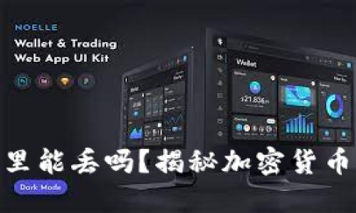 : 比特币在钱包里能丢吗?揭秘加密货币的安全性与风险