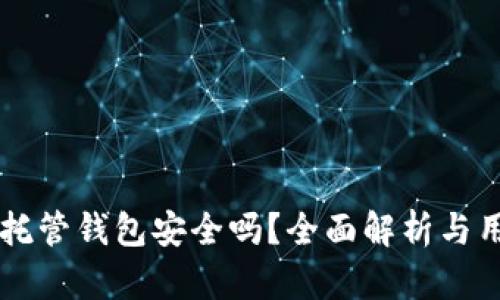 虚拟币托管钱包安全吗?全面解析与用户指南