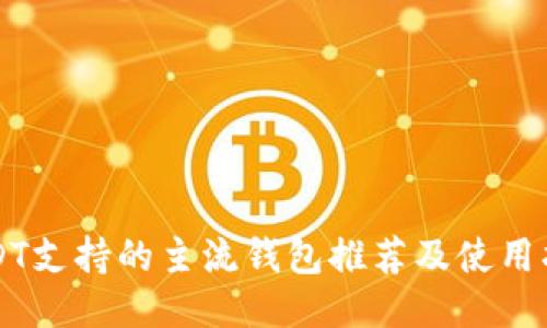 USDT支持的主流钱包推荐及使用指南