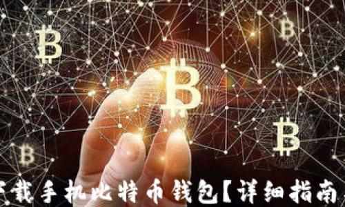 去哪下载手机比特币钱包?详细指南与推荐