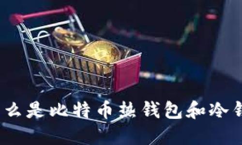 : 什么是比特币热钱包和冷钱包?